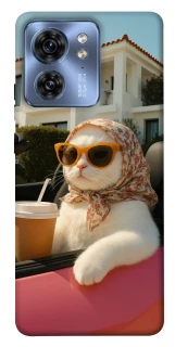 Чехол на Motorola Edge 40 Stylish Cat Cruise фото 1 Чехол на Motorola Edge 40 Stylish Cat Cruise фото 1 из 1