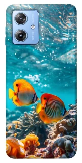 Чохол на Motorola Moto G84 Coral fish фото 1 з 1