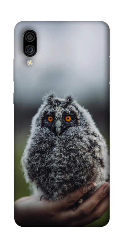 Чехол на ZTE Blade A5 (2020) Совёнок фото 1 из 1