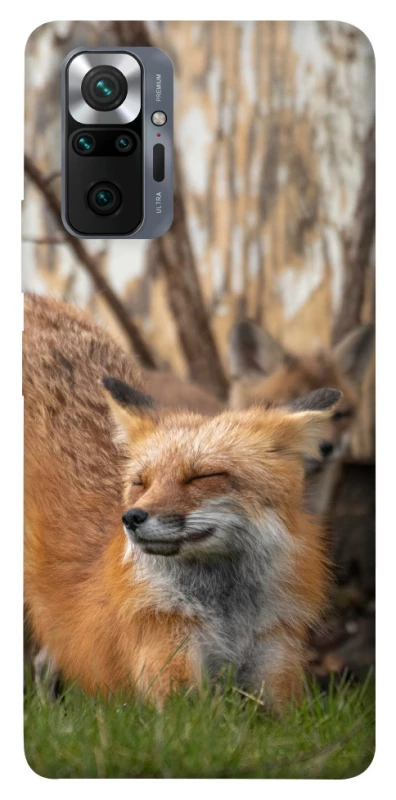 Чехол на Xiaomi Redmi Note 10 Pro Лиса фото 1 из 1
