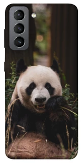Чехол на Samsung Galaxy S21 FE Панда фото 1 из 1