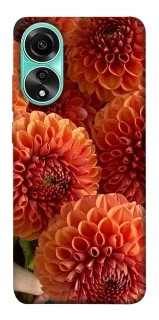 Чохол на Oppo A78 4G Flower1 фото 1 з 1