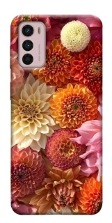 Чохол на Motorola Moto G42 Bouquet фото 1 з 1