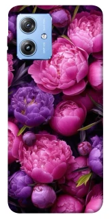 Чохол на Motorola Moto G84 Garden2 фото 1 з 1