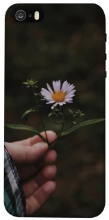 Чехол на Apple iPhone 5/5S/SE Ромашка v4 фото 1 из 1