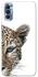 Чохол на TECNO Spark 8P Leopard Art v2 фото 1 з 1