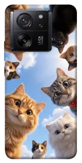 Чехол на Xiaomi 13T Pro Cats фото 1 из 1