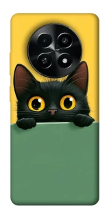 Чехол на Realme Narzo 70x Black cat v2 фото 1 из 1