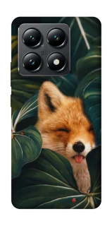 Чехол на Xiaomi 14T Fox фото 1 из 1