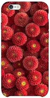 Чехол на Apple iPhone 6/6s (4.7") Midnight1 фото 1 из 1