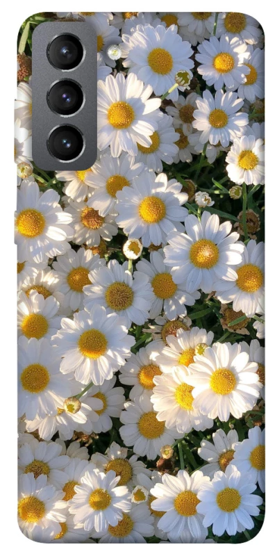 Чохол на Samsung Galaxy S21 FE Поле ромашок фото 1 з 1