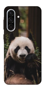 Чехол на Samsung Galaxy A36 5G Панда фото 1 из 1