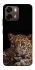 Чехол на Oppo A6 Leopard v4 фото 1 из 2