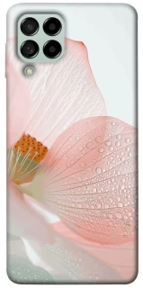 Чехол на Samsung Galaxy M53 5G Flowers zon фото 1 из 1