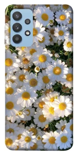 Чохол на Samsung Galaxy M32 Поле ромашок фото 1 з 1