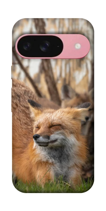 Чехол на Google Pixel 9 Лиса фото 1 из 1
