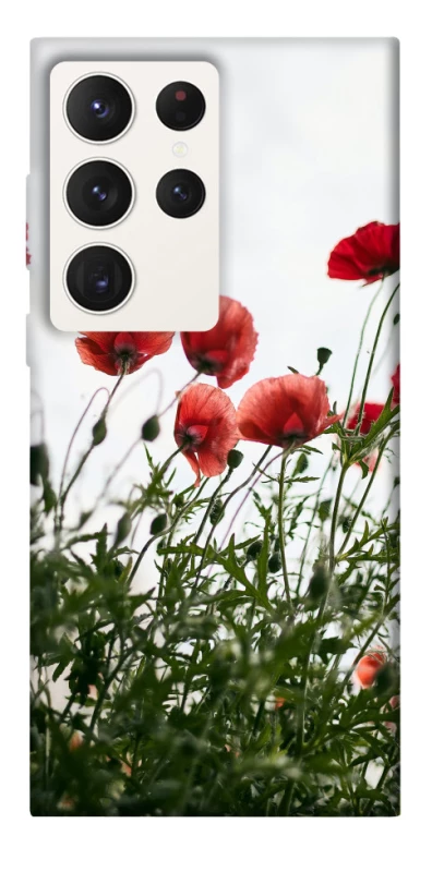 Чохол на Samsung Galaxy S23 Ultra Поле маків фото 1 з 1
