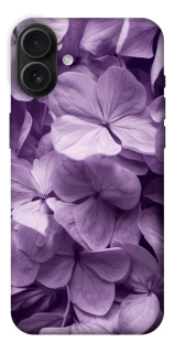 Чохол на Apple iPhone 16 Plus Floral Symphony фото 1 з 1