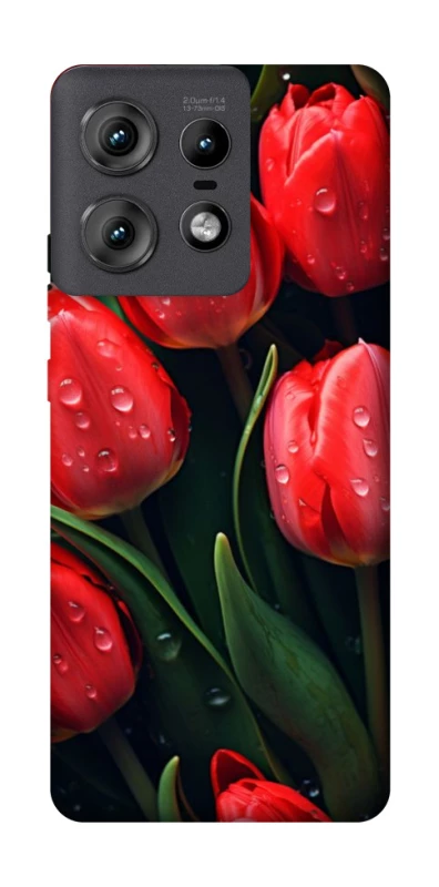 Чехол на Motorola Edge 50 Pro Красные тюльпаны фото 1 из 1