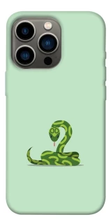 Чехол на Apple iPhone 13 Pro (6.1") Змейка фото 1 из 1