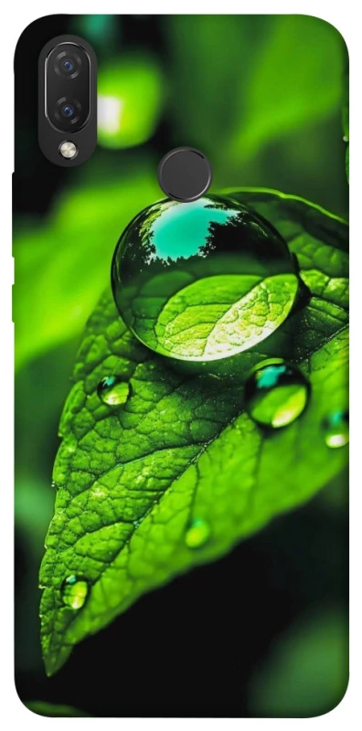 Чохол на Huawei P Smart+ (nova 3i) Flowers v16 фото 1 з 1