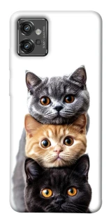 Чохол на Motorola Moto G32 Гарні котики фото 1 з 1