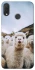 Чохол на Huawei P Smart+ (nova 3i) Лама фото 1 з 1