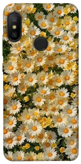 Чохол на Xiaomi Mi A2 Lite / Xiaomi Redmi 6 Pro Camomile фото 1 з 1