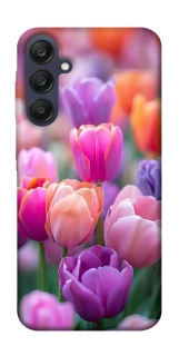 Чохол на Samsung Galaxy A25 5G Тюльпанове поле фото 1 з 1