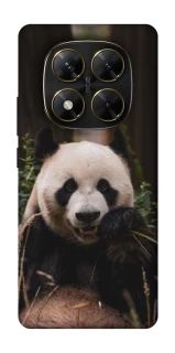 Чехол на Xiaomi Poco X7 Панда фото 1 из 1