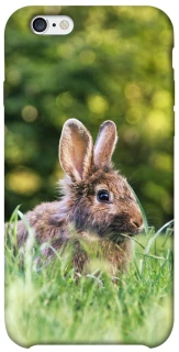 Чохол на Apple iPhone 6/6s (4.7") Кролики фото 1 з 1