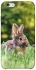 Чохол на Apple iPhone 6/6s (4.7") Кролики фото 1 з 1