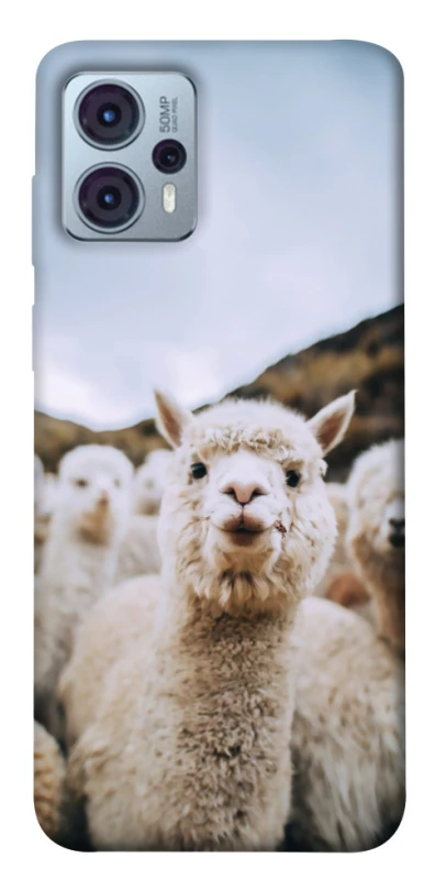 Чохол на Motorola Moto G23 Лама фото 1 з 1