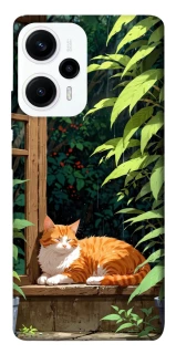 Чохол на Xiaomi Poco F5 / Note 12 Turbo red cat фото 1 з 1