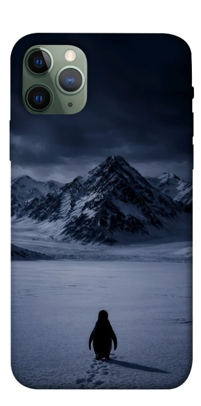 Чохол на Apple iPhone 11 Pro (5.8") But why? фото 1 з 1