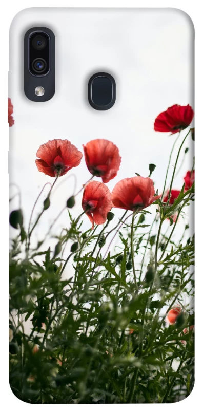 Чехол на Samsung Galaxy A20 / A30 Поле маков фото 1 из 1