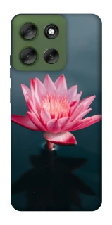 Чохол на Motorola Moto G56 5G Лотос фото 1 з 1