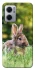 Чохол на Xiaomi Redmi Note 11E Кролики фото 1 з 1