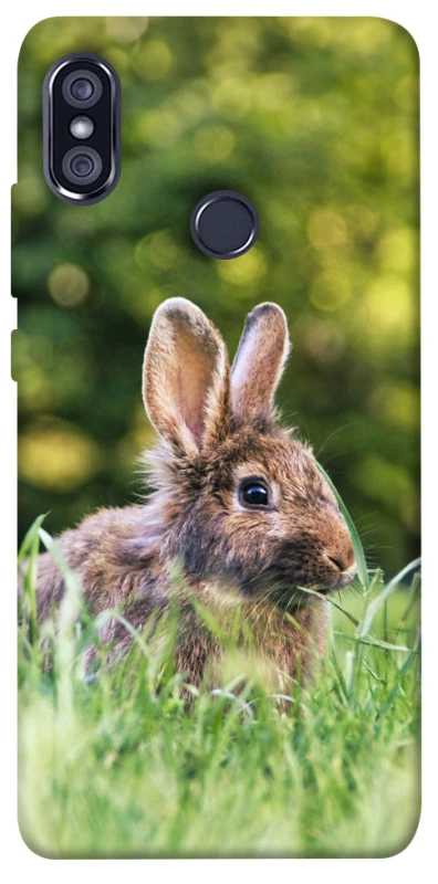 Чохол на Xiaomi Redmi Note 5 Pro / Note 5 (AI Dual Camera) Кролики фото 1 з 1