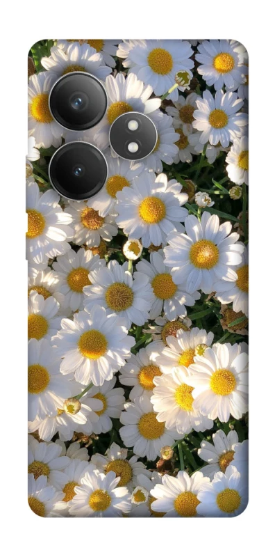Чехол на Realme GT Neo 6 SE Поле ромашек фото 1 из 1