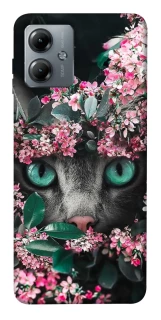 Чохол на Motorola Moto G14 Кіт в квітах фото 1 з 1