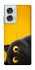 Чохол на Motorola Edge 50 Fusion This is Cat фото 1 з 1