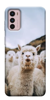 Чохол на Motorola Moto G42 Лама фото 1 з 1