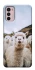 Чохол на Motorola Moto G42 Лама фото 1 з 1