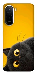 Чохол на Xiaomi Redmi A7 Pro 4G This is Cat фото 1 з 2