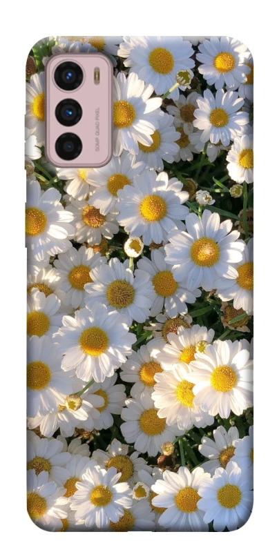 Чохол на Motorola Moto G42 Поле ромашок фото 1 з 1