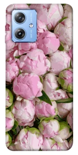 Чехол на Motorola Moto G84 Nature’s Elegance фото 1 из 1