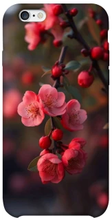 Чехол на Apple iPhone 6/6s (4.7") Flowers v28 фото 1 из 1