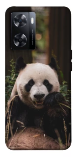 Чохол на OnePlus Nord N20 SE Панда фото 1 з 1