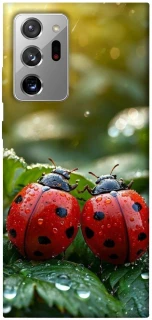 Чохол на Samsung Galaxy Note 20 Ultra Flowers v23 фото 1 з 1